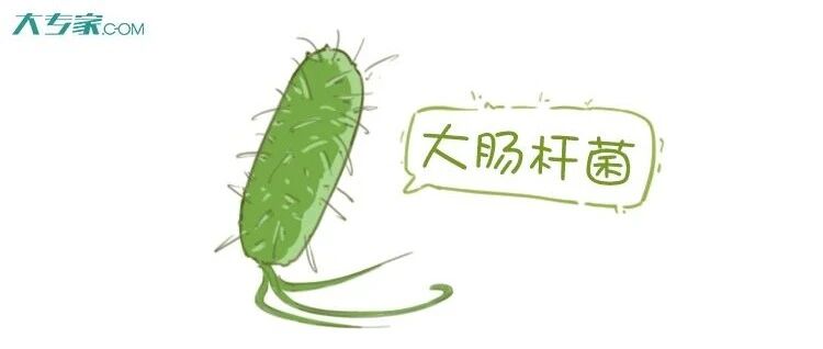 食品安全周——大肠杆菌O157:H7