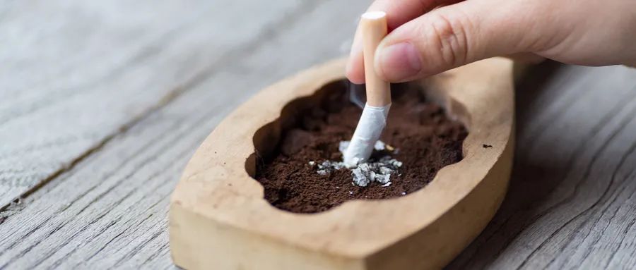 汇聚专业医学学术知识,提供线上线下整体解决方案