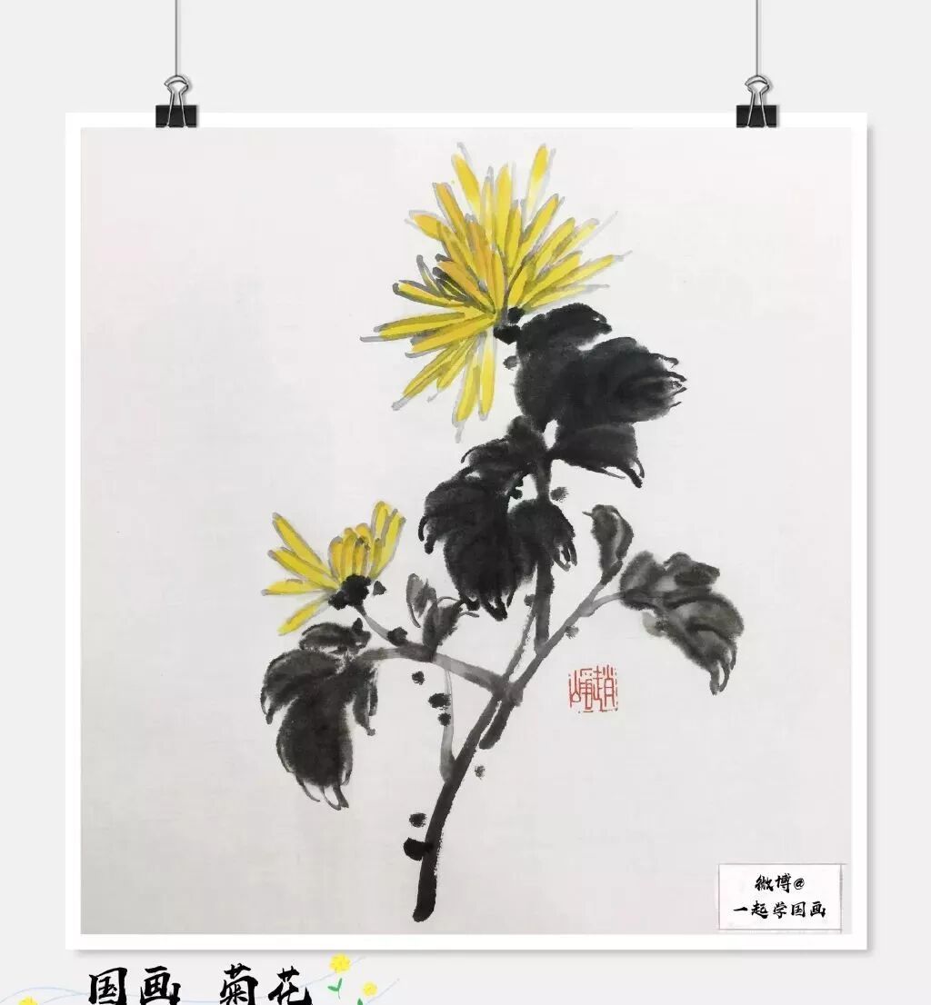 国画小教程写意菊花的画法一学就会