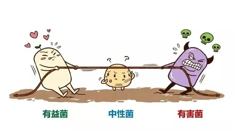 妇科流体敷料怎么用频繁使用洗液，菌群失衡导致阴道炎反复发作！妇科流体敷料调节阴道微生态平衡！_https://www.jmylbn.com_新闻资讯_第5张