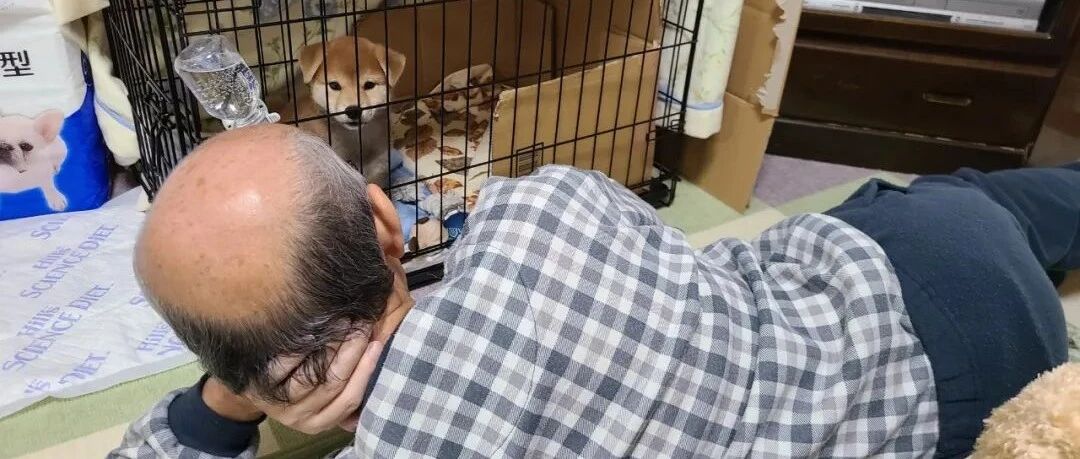 自从爸妈开始养宠物后，我活得连狗都不如！