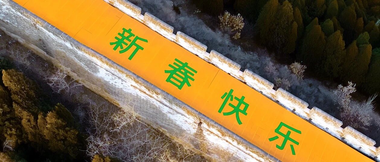 继丑限定之后，大牌的虎年骚操作惊呆网友：再不骂限定了…