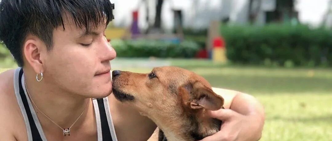人狗情未了！泰国靓仔断片醒来，发现自己睡了一只陌生狗…