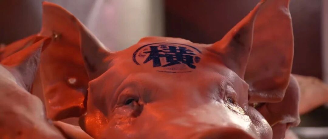 中国各地“奇葩”早餐刷屏，5000w网友馋哭：太惨了，我竟然一种都没吃过！