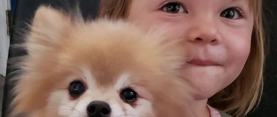 在被安乐死的前一秒，2岁萝莉说了一句话，彻底改变了她的命运...