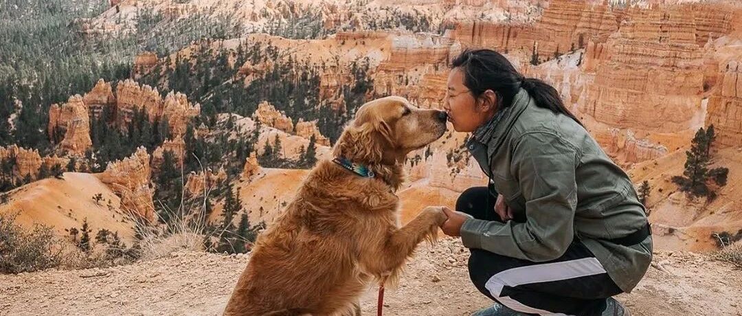 因太贪玩被开除学籍，4年后他却过上了全网羡慕的生活：吃喝不愁，天天旅游…