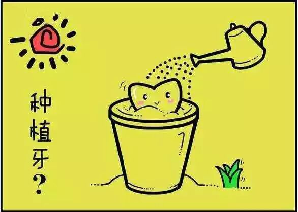 种植牙——已经成了牙齿缺失最好的修复方式？