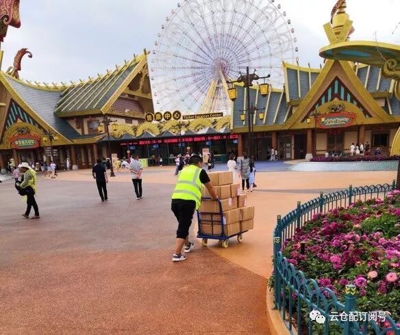 云仓配|敬那些默默奋斗在一线的可爱的人儿