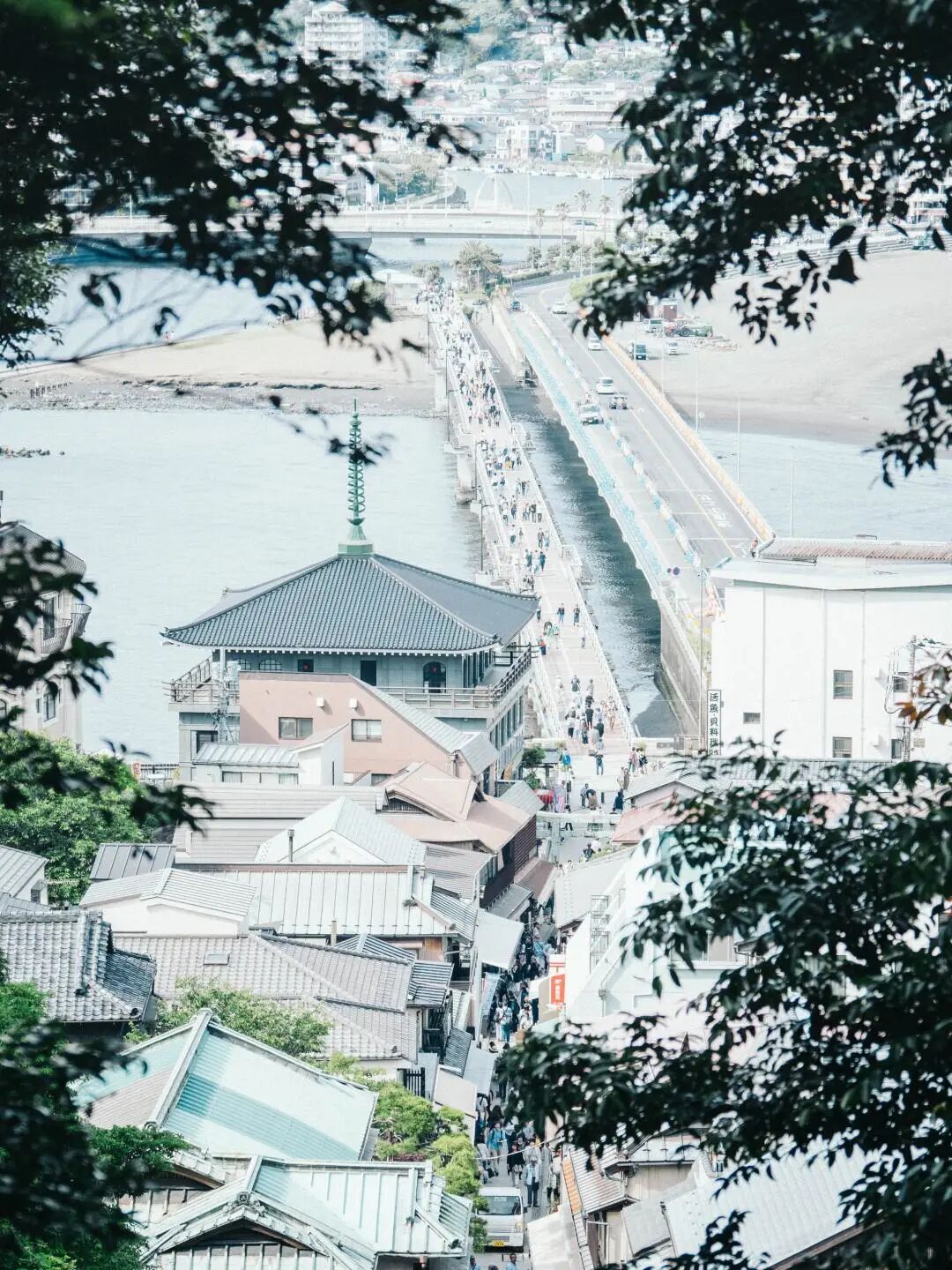 学习 | 日语里意境美好的词汇・夏日篇