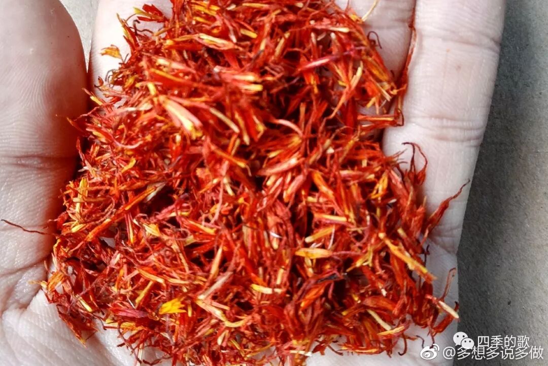 植物染色之红花染 四季的歌 微信公众号文章阅读 Wemp