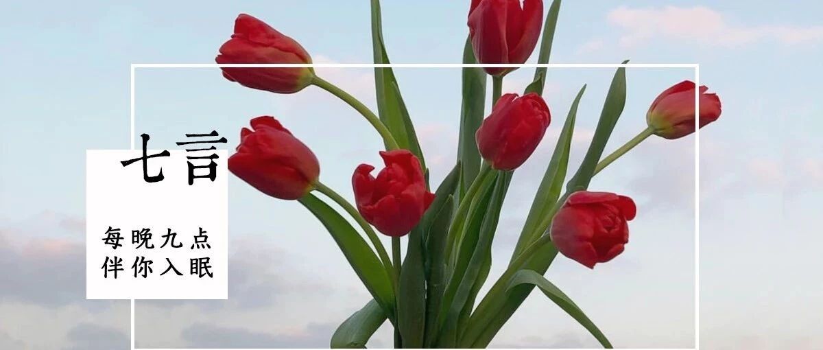 一段感情是如何变淡的？这是我看过最好的答案