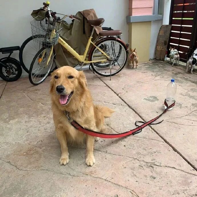 闪烁着智慧的光芒