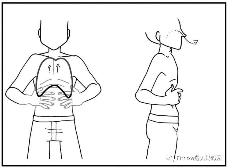 怎么区别呼吸用嘴呼吸和用鼻呼吸的区别居然那么大_https://www.jmylbn.com_新闻资讯_第9张