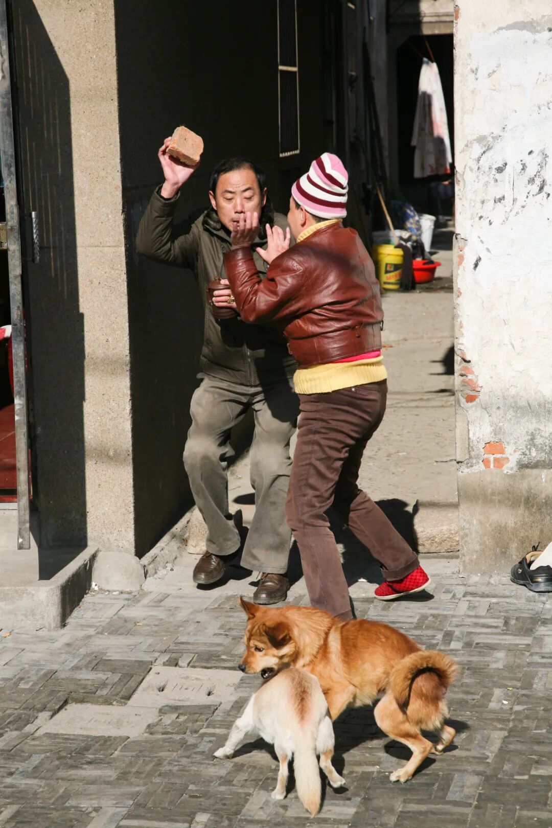 图片