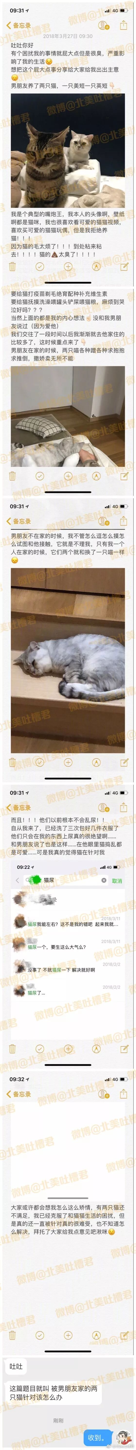 被男朋友家的两只猫针对该怎么办？ - 1
