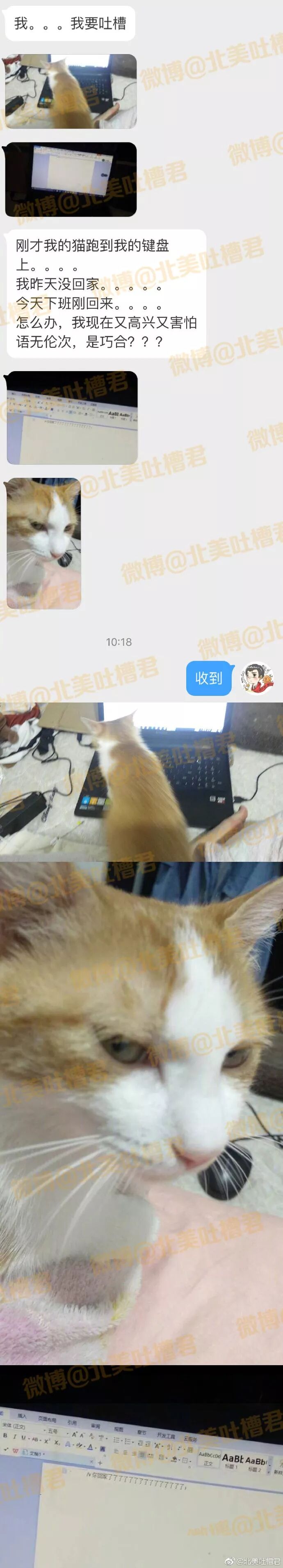 一天没回家，发现我家猫跑到我的键盘上踩出了... - 1