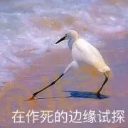 啊啊啊！手滑这一下，可以说是非常令人绝望了！！！！ - 4