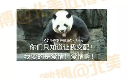 啊啊啊！手滑这一下，可以说是非常令人绝望了！！！！ - 7