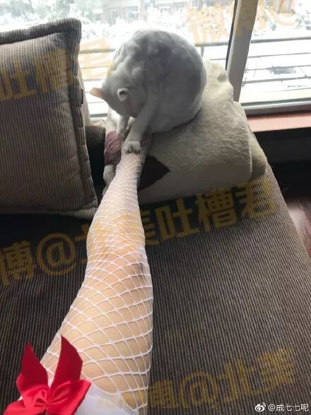 啊啊啊！手滑这一下，可以说是非常令人绝望了！！！！ - 10