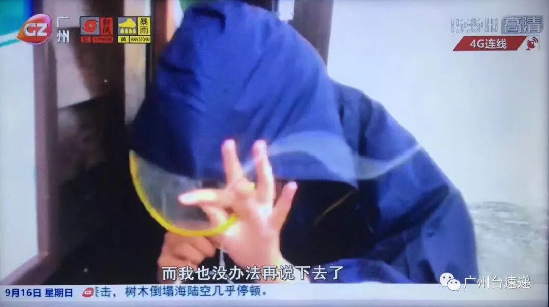 风王“桦加沙”体型超整个广东省