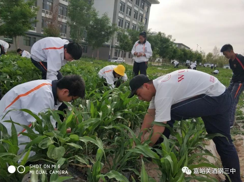 农业科普展示内容_农业科普动态_农业科普知识宣传