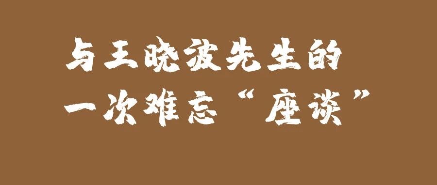 与王晓波先生的一次难忘“座谈”