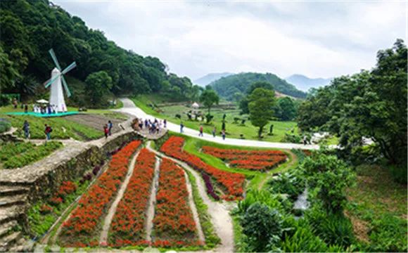 (3)开小灶·2019腾讯网友帐篷节，打卡二龙山网红玻璃桥与花海！-户外活动图-驼铃网