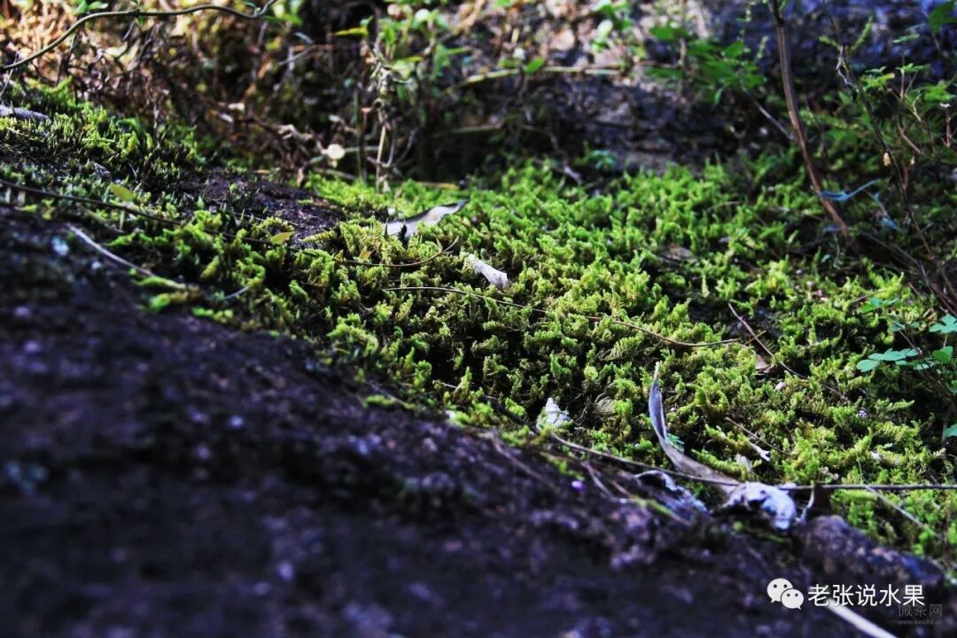 ��������������ĵ����