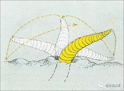 ��������������ĵ����