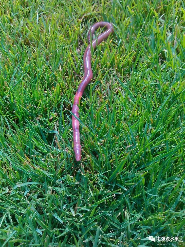 ��������������ĵ����