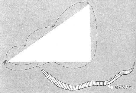 ��������������ĵ����