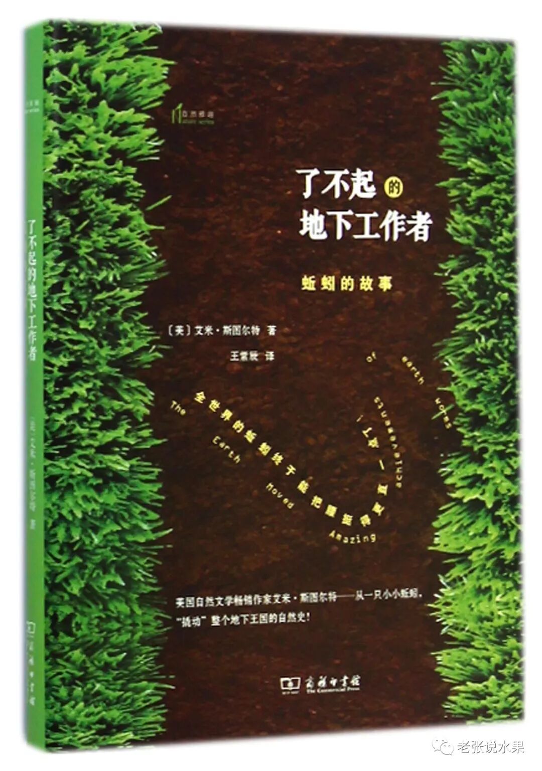 ��������������ĵ����