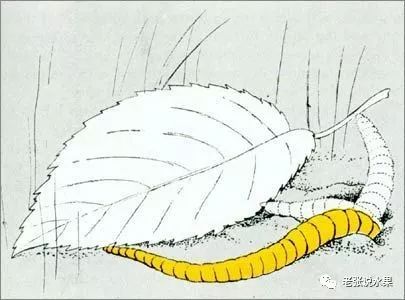 ��������������ĵ����