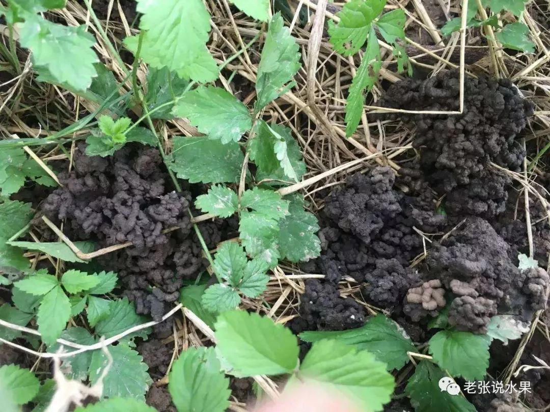 ��������������ĵ����