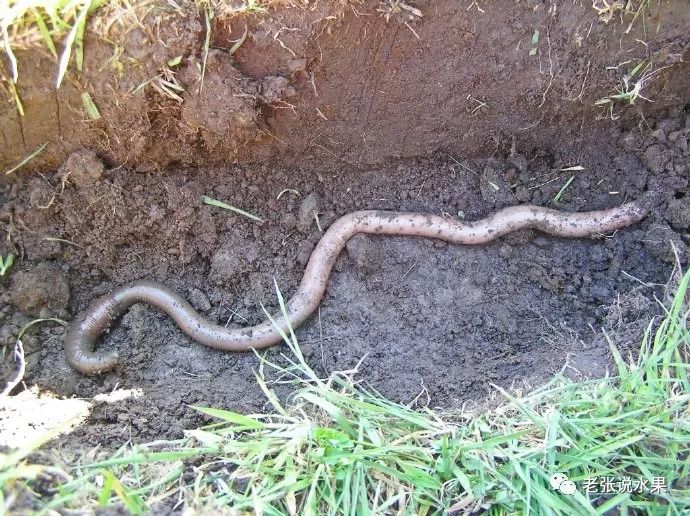 ��������������ĵ����