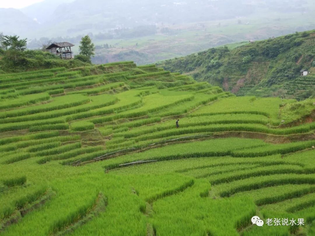 ��������������ĵ����