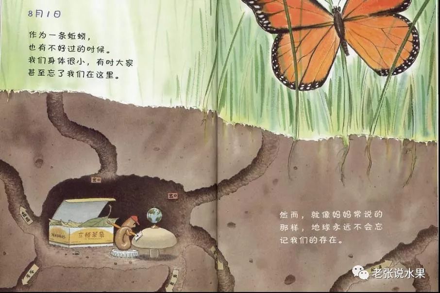 ��������������ĵ����