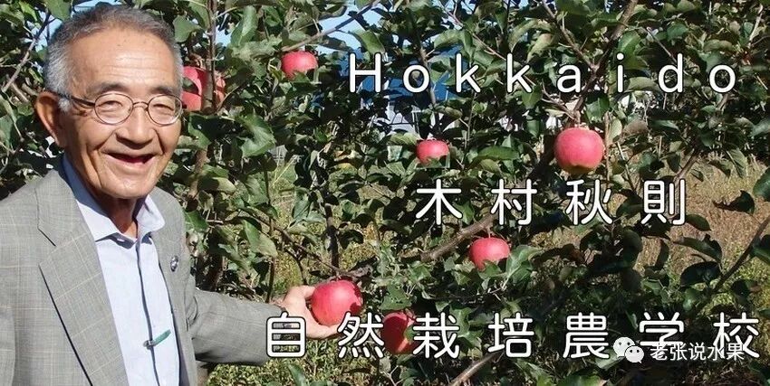 �����������ʧ�ģ�������֮���໥�������硱��Ӱ��