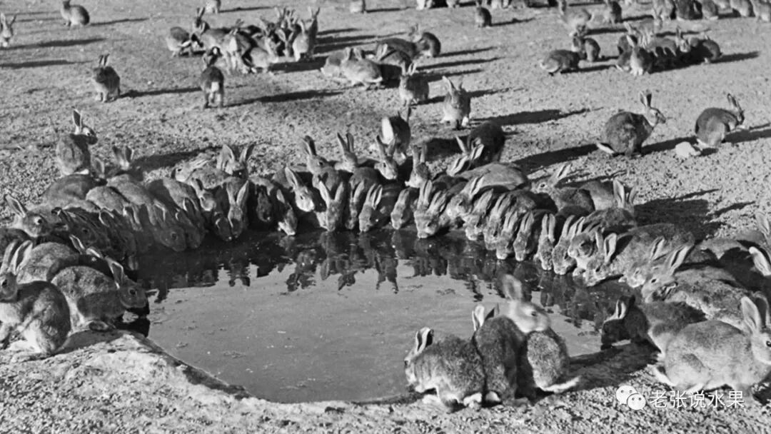 �����������ʧ�ģ�������֮���໥�������硱��Ӱ��