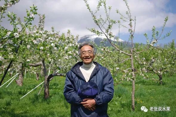 �����������ʧ�ģ�������֮���໥�������硱��Ӱ��