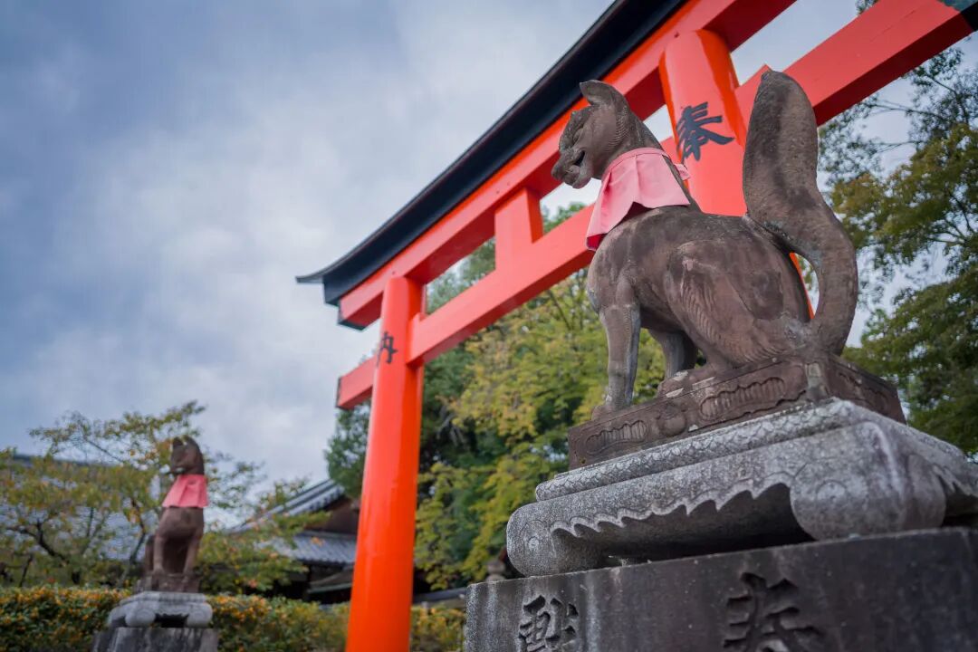 绫罗漫舞香盈袖 樱落鬓间映花容 阿花 汉服的京都之旅 Sony索尼天猫旗舰店