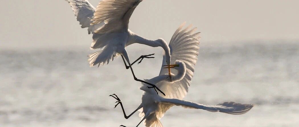 41家厂商77款产品暑期档大乱斗：游戏市场最残酷的Q3已然来临