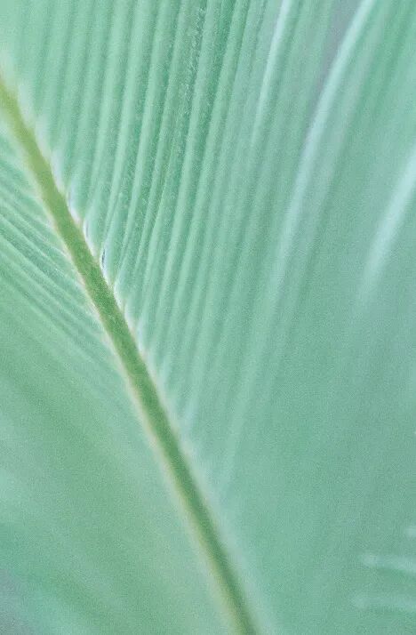 患者怎么选择人工鼻患者行气管切开术后的护理_https://www.jmylbn.com_新闻资讯_第21张