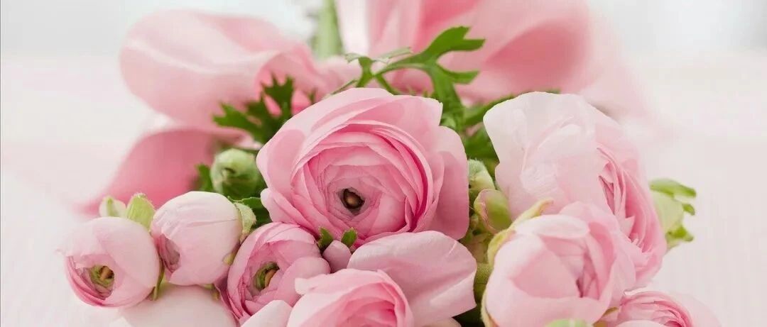 秘密花园有异味，不一定就是荫道炎！如何胯下生香？