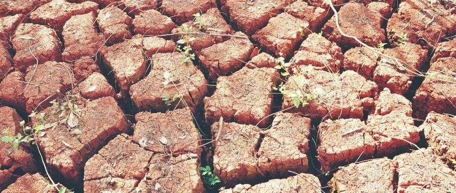 内膜太薄，想长厚点？这样调理就对了！