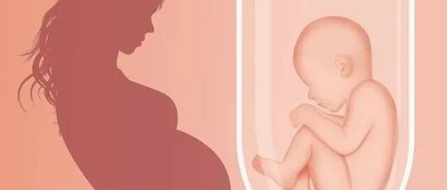 胎停育2次了想做试管婴儿，能避免胎停吗？