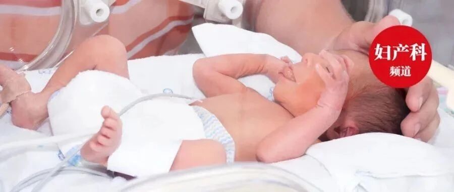 马桶里的婴儿：宝宝腿都伸出来了，妈妈才知道有孕在身