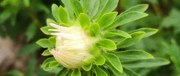 28-30天来一次月经才正常？年龄不同，标准不同！