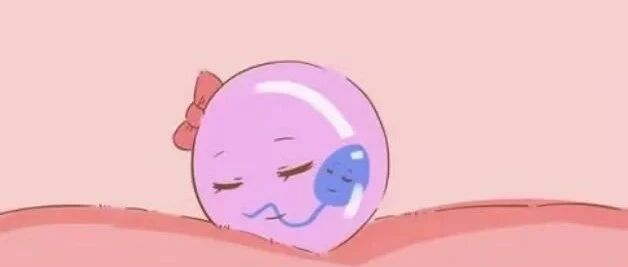 “试管婴儿”比自然怀孕的孩子身体差？听黄荷凤院士来分析......