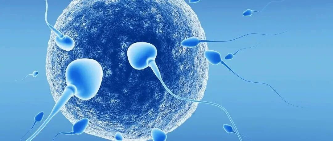 什么？人造精子都出来了！无精子症，也能生娃